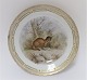 Royal 
Copenhagen. 
Fauna Danica. 
Lunch plate. 
Model # 239 - 
3550. Diameter 
22 cm. (1 
quality). ...