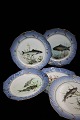 Royal 
Copenhagen 
dinner plates 
in fish set, 
Dia.:24cm. 
Decoration 
number: 3002. 
2.sort. 
Has ...