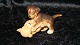 Royal Copenhagen Mini CollectionLegendary Rottweiler and Golden Retriever Puppies.Deck # 746SOLD