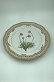 Royal 
Copenhagen 
Flora Danica 
Luncheon Plate 
No 20/3554 with 
Pierced Border. 
Latin Name:  
...