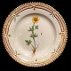Royal 
Copenhagen, 
Flora Danica 
porcelain; Cake 
plate #3551. 
Decoration: 
Ranunculus 
nivalis L. ...