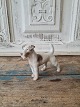 B&G figure Fox 
terrier 
No. 2072, 
Factory first
Height 9 cm. 
Length 11 cm.
Design: 
Lauritz jensen