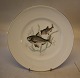 Bing & Grondahl 
Copenhagen Form 
601 026 Plate 
21.5 cm (326) 
Fish Plate 
Dinnerware In 
nice and ...