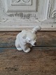 Royal 
Copenhagen 
figure Polar 
bear cub 
No. 233
Height 8 cm.
Factory third 
- dkk 300.- 
Stock: 1