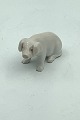 Bing and 
Grondahl 
Minature 
Figurine Pig 
No. 1882
Measures 6,5cm 
x 3cm ( 2.56 
inch x 1.18 
inch ...