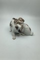 Bing and 
Grondahl Dog 
Figurine 
Pekingese 
puppies playing 
No. 1630
Measures 14cm 
x 11cm ( 5.51 
...