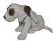 Rare Bing & 
Grondahl Dog 
figurine, 
Pointer puppy 
scratching.
The factory 
mark tells, 
that ...