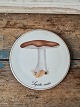 B&G Mushroom 
plate Lepista 
Nuda 
No. 3518/949, 
Factory first
Diameter 15 
cm.