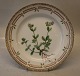 20-3550 
"Cerastium 
viscosum L. (G. 
ovale Pers.)". 
Luncheon Plate 
New # 622 
8.75"(Dated 
1969-74) ...