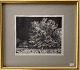 Palle Nielsen.Engraving with passerpartout in gold frame.Signed  PN / 71.Akiv 29. Measure: ...