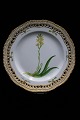 Royal 
Copenhagen 
Flora Danica 
Breakfast plate 
with openwork 
edge. 
Dia:23cm. 
Decoration 
number: ...