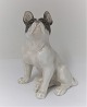 Royal 
Copenhagen. 
Porcelain 
figure. French 
bulldog. Model 
1452-956. 
Height 16.5 cm. 
Produced ...