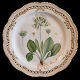 Royal 
Copenhagen, 
Flora Danica 
porcelain; 
Plate #384 with 
pierced border. 
The same model 
as the ...