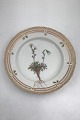 Royal 
Copenhagen 
Flora Danica 
Dessert Plate 
No 20/3551 1. 
quality. Latin 
Name: Saxifraga 
...
