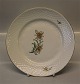 11 pcs in stock
026 Lunch 
Plate 21.5 cm 
(326) Mimer: 
Bing and 
Grondahl B&G  
Cream base, ...