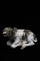 Royal 
Copenhagen 
porcelain 
figurine of a 
reclining calf. 

Decoration 
number: RC 
1076. 1.sort. 
...