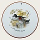 Mads Stage, 
Platte, 
Goldeneye 
(duck) 
Bucephala 
clangula, 16cm 
in diameter 
*Nice 
condition*