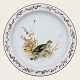 Mads Stage, 
Hunting 
porcelain, 
Dinner plate, 
Quail, 23.5 cm 
in diameter 
*Nice 
condition*