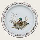 Mads Stage, 
Hunting 
porcelain, 
Dinner plate, 
Mallard, 23.5cm 
in diameter 
*Nice 
condition*