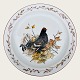 Mads Stage, 
Hunting 
porcelain, 
Dinner plate, 
Black Grouse ( 
Lyrurus 
tetrix), 27cm 
in diameter ...