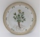 Royal 
Copenhagen, 
Flora Danica. 
Lunch plate. 
Design # 3550. 
Diameter 22 cm. 
(1 quality). 
...