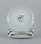 Th. Karlinder 
for Bing & 
Grondahl.
Six 
hand-painted 
dinner plates 
with fish 
motifs.
1956.
In ...