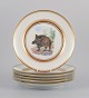Royal 
Copenhagen, six 
fauna danica 
style dinner 
plates hand 
painted with 
animal ...