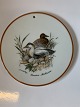 Jagtstellet 
Mads Stage 
Smørebrik / 
Platte, 
(Somateria 
Mollissima)
Duck
Diameter 16 
cm.
Nice ...