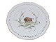 Royal 
Copenhagen 
White Flora 
Danica, 
luncheon plate 
decorated with 
musk ox.
This was 
produced ...