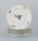 Royal 
Copenhagen, set 
of six Saksisk 
Blomst lunch 
plates. 
Hand-painted 
with various 
polychrome ...
