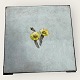 Bing & 
Grondahl, 
Apollon with 
Tussilago#600, 
place mat, 15cm 
/ 15cm *Used 
condition*