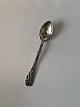 Salt spoon Kelp 
Silverware
Cohr Silver
Length 7.5 cm.
Well 
maintained 
condition
All cutlery 
...