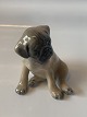 Royal 
Copenhagen, 
Moppe puppy
Dec. no. 3169
2. Sorting
Height 8 cm.
Nice and well 
maintained ...