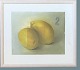 Linda Rønning 
Oil on canvas 
in frame with 
glass.
Motif “Citron 
9” from 1998.
Dimensions: 39 
x ...