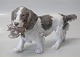 Bing & Grondahl 
dog 2061 
Spaniel with 
prey Design by 
25 cm Lauritz 
Jensen worked 
at both Royal 
...