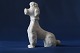Beautiful and well-kept porcelain figurine of a sitting king poodle. Made of glazed porcelain, ...