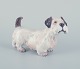Dahl Jensen, 
porcelain 
figurine of a 
Sealyham 
Terrier.
Model number 
1002.
Designed by 
Jens ...