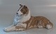 Royal 
Copenhagen 1701 
RC Collie Dog  
Peter Herold 13 
cm In mint and 
nice condition