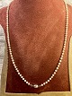 Real Pearl 
chain with gold 
lock in 14k 
White gold. L 
46 cm Nice 
condition