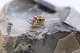 Vedhæng i 14 karat guld, med klar sten og tidløs design. ...