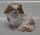 Royal 
Copenhagen 1772 
RC Pekingese 
Design Peter 
Herold 12 x 12 
cm In mint and 
nice condition