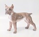 Dahl Jensen dog 
1170 German 
Boxer (DJ) 21 
cm Marked with 
the royal Crown 
and DJ 
Copenhagen. In 
...