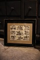 Decorative, old print / engraving with different breeds of dogs...