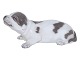 Royal 
Copenhagen 
basset dog 
figurine.
The factory 
mark tells, 
that this was 
produced 
between ...