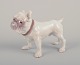 Bing & 
Grøndahl, 
porcelain 
figurine of a 
Bulldog.
Model 1676.
Approximately 
from 1930.
First ...