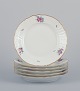 Royal 
Copenhagen 
Saxon Flower. 
Six lunch 
plates in 
porcelain. 
Hand-painted 
with polychrome 
...