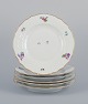 Royal 
Copenhagen 
Saxon Flower. 
Six dinner 
plates in 
porcelain. 
Hand-painted 
with polychrome 
...