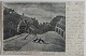 Tegnet postkort 
af Carl Røgind: 
Kolding ved 
Nat. Annulleret 
KOLDING I 1908. 
I god stand