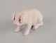 Bing & 
Grøndahl, rare 
porcelain 
figurine of a 
piglet.
Model number 
1882.
Approximately 
...