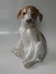 Royal 
Copenhagen 
0259- 1432 Rare 
brown version 
Pointer Puppy 
Erik Nielsen 
1900 20 cm 
(051) In ...